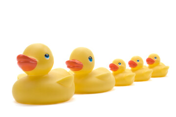 Family of rubber ducks on white