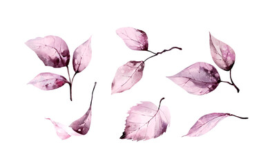 Set of pink watercolor leaves.