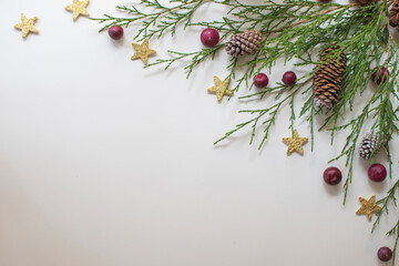 Festive Winter Foliage with Gold Stars and Cranberries