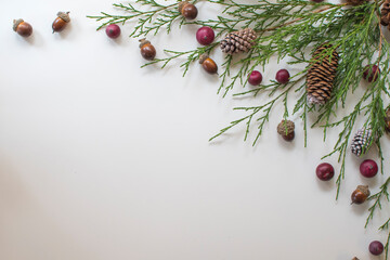 Festive Winter Foliage with Acorns and Cranberries