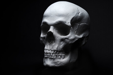 white skull on black background 
