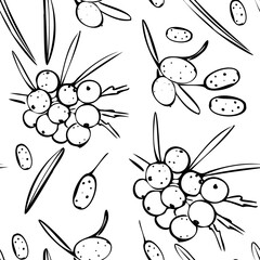 Seamless vector pattern with black contour of buckthorn on a white isolated background. For fabric, cover, and background.