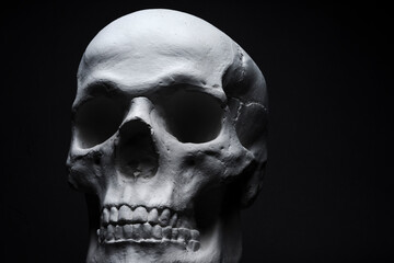 Obraz premium white skull on black background 