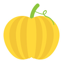 
A large orange or yellow fruit. Pumpkin fruit but often referred to as vegetables
