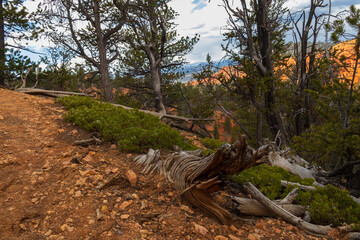 Red Canyon Arch, Utah
