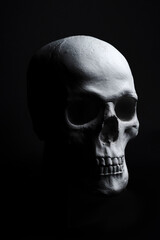 white skull on black background 