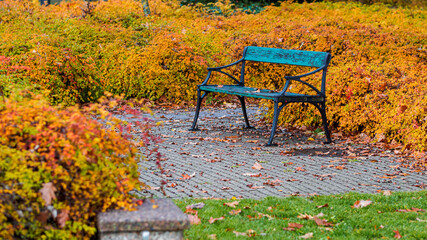 Park bench in Marievik in Stockholm, Sweden