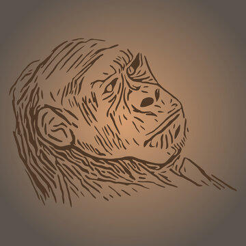 black and white linear paint draw monkey vector illustration