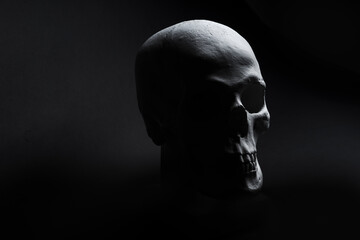 white skull on black background 