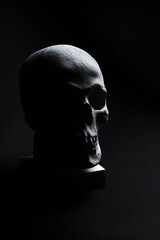 white skull on black background 