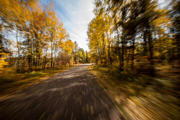Scenic view of country road passing through autumn forest