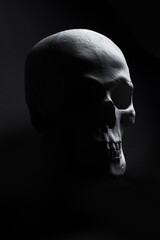 white skull on black background 