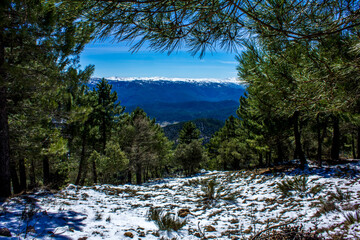 paisaje nevado