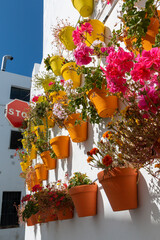 Colorful flower pots decorate the facades of houses in Vejer de la Frontera, a beautiful white town in the province of Cadiz, in Andalusia, southern Spain.
