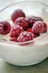 frozen raspberries on a vanilla pudding