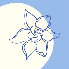 Fototapeta na wymiar gardenia flower for decorating postcards and photos of magazine pages