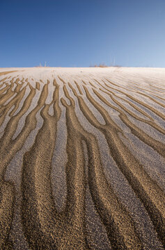 View of pattern on sand dunes in Juniper Dunes Wilderness
