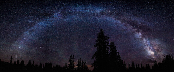 Scenic view of milky way over trees at night