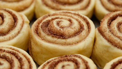 Obraz na płótnie Canvas cooking cinnamon rolls or Cinnabon close up. raw cinnamon buns. Production of cinnamon rolls