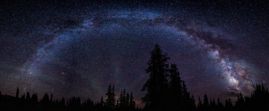 Scenic view of milky way over trees at night