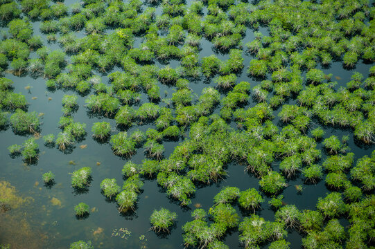 Aerial view of the forest, beaches and farmland