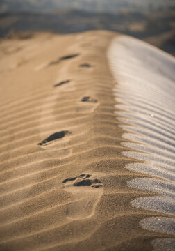 Close up of footprints on sand dunes in Juniper Dunes Wilderness