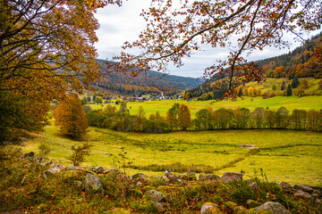 Geissenpfad_Menzenschwand_4714