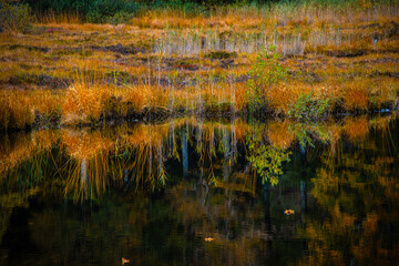 Moorsee_4654