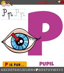 letter P from alphabet with pupil of the eye