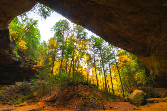 View of Ash Cave with trees in Hocking Hills State Park