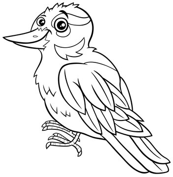 cartoon xenops bird comic animal character coloring book page