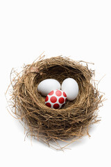 Bird nest with different eggs