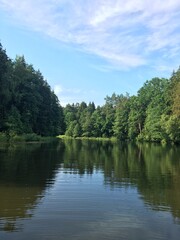 Fototapeta na wymiar lake and forest