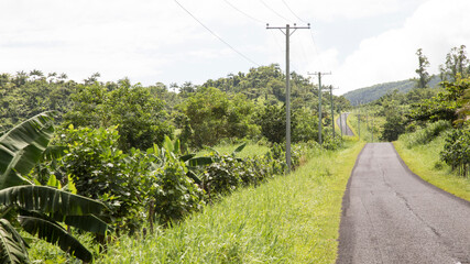 Empty road across tropical landscape under a sunny sky, Samoa