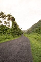 Empty road across tropical and exotic landscape during golden hour