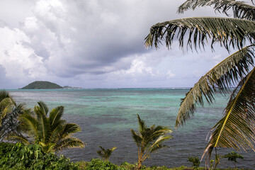High angle view of a fringing coral reef of blue waters and palm trees