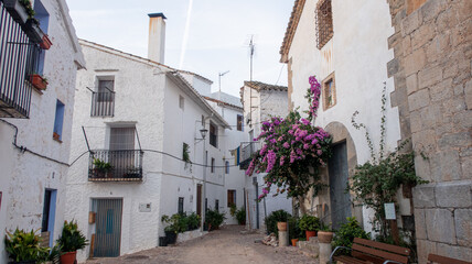 Streets
of Ain, in Spain, a little village in the deep of the forest.