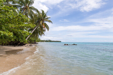 Empty sandy beach, with clear waters and leaning palm trees, Samoa