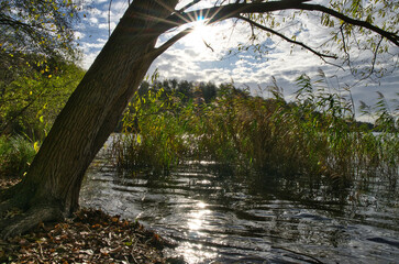 Frühsonne an der Havel