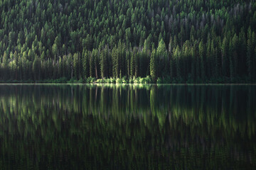 Green trees reflecting in Stanley Lake in Idaho during a summer road trip. 