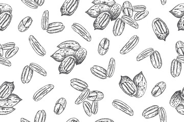 Fototapeta na wymiar Seamless pattern with pecan nuts. Line art style.
