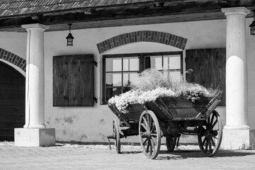 Fototapeta na wymiar old carriage in the town