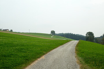 Einsamer Weg in Denkhof