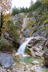 waterfall in the forest