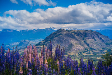 View at Carretera Austral, Patagonia - Chile.