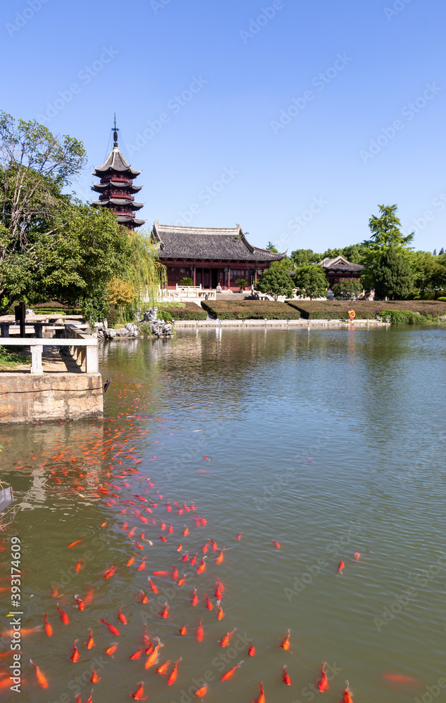 Canvas Prints Poissons rouge, jardin historique de Panmen à Suzhou, Chine