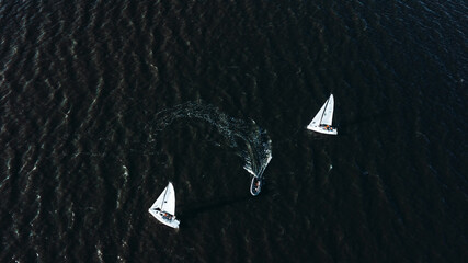 White yachts and a boat sail on dark sea water in the Kaliningrad Bay