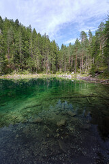 Forest lake with crystal-clear and greenish water