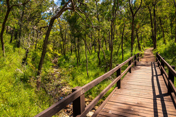 Obraz premium Walking track and bridge