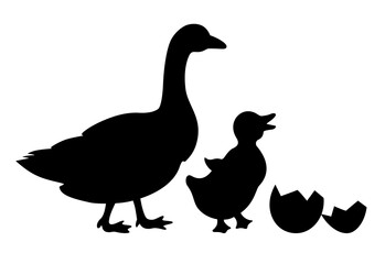 Fototapeta na wymiar Newborn duckling and duck vector icon